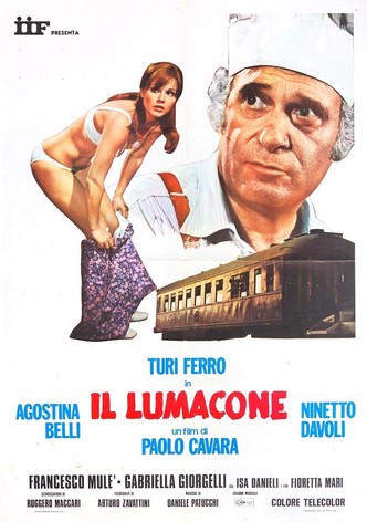 Il lumacone