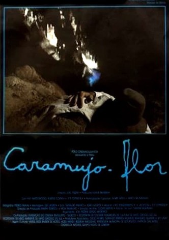 Caramujo-Flor