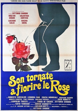 Son tornate a fiorire le rose