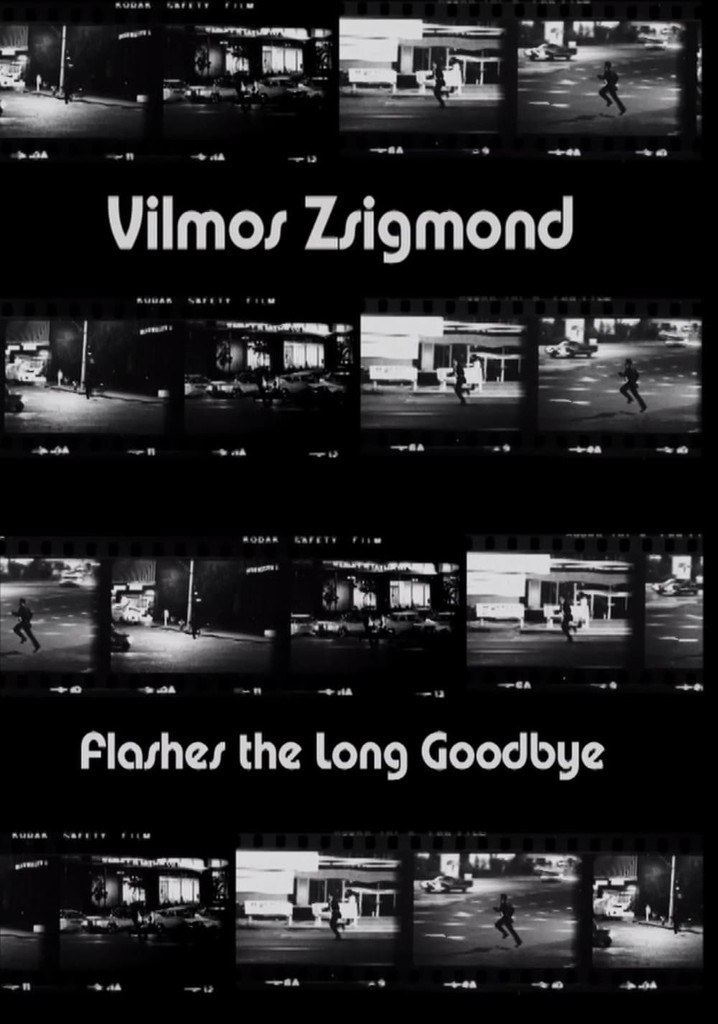 Vilmos Zsigmond Flashes 'The Long Goodbye'