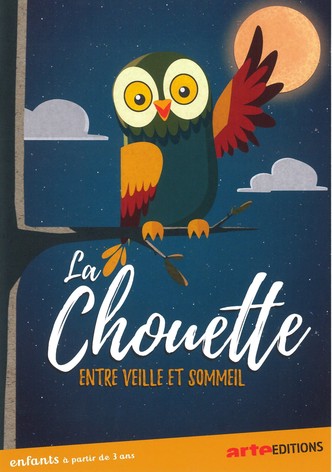 La chouette entre veille et sommeil