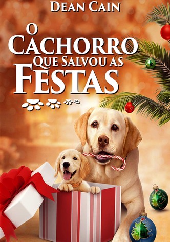 O Cachorro Que Salvou as Festas