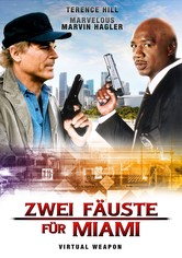 Zwei Fäuste in Miami