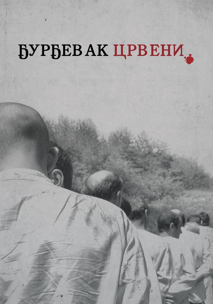 The Bloody Lilly of the Valley