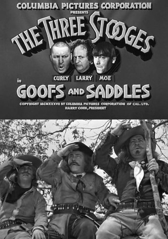 Goofs and Saddles