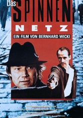 Das Spinnennetz