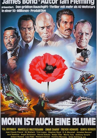 Mohn ist auch eine Blume