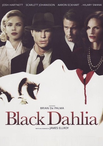 Black Dahlia