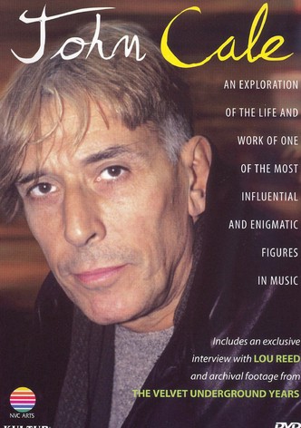 John Cale: An Exploration of His Life & Music