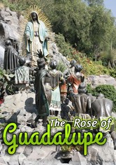 La rosa de Guadalupe - Season 3