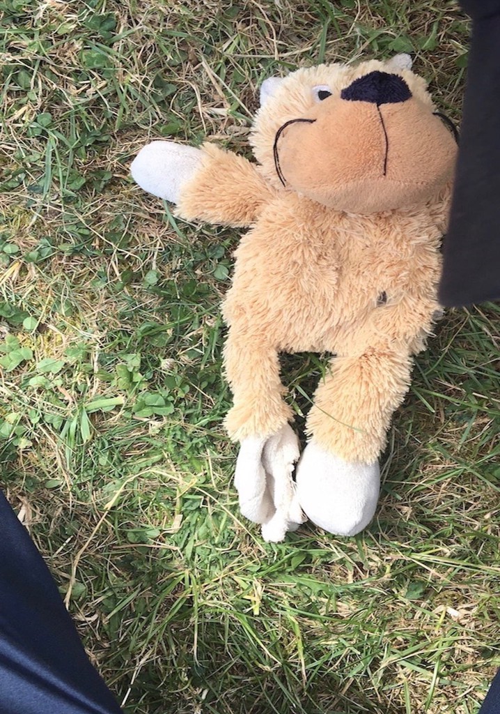 The Chiltern Witch Project