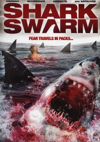 Shark Swarm