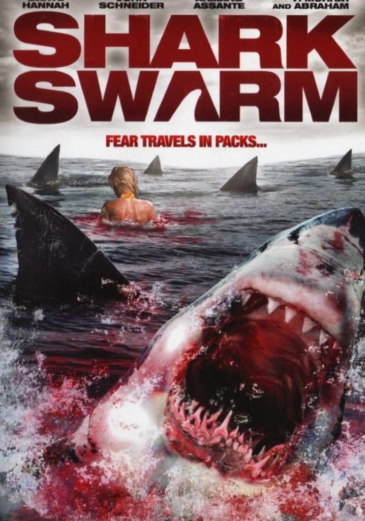 Köpek Balığı Sürüsü