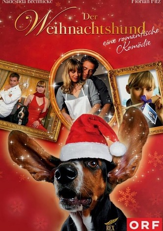 Der Weihnachtshund