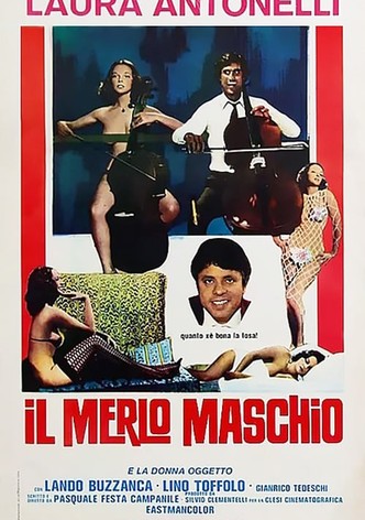 Il merlo maschio
