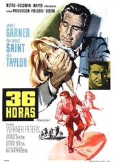36 Horas
