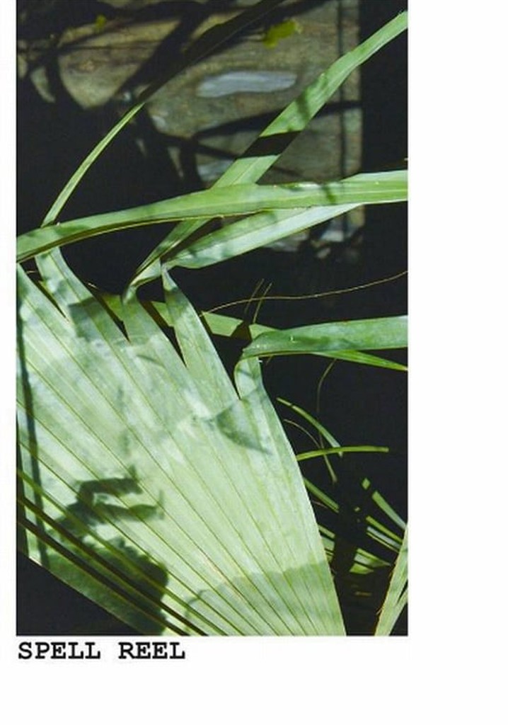 Spell Reel
