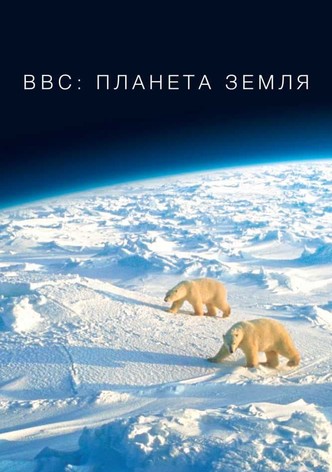 BBC: Галапагосы (зарубежное издание) (Blu-Ray)