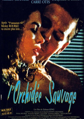 L'orchidée sauvage