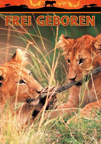 Frei geboren - Königin der Wildnis