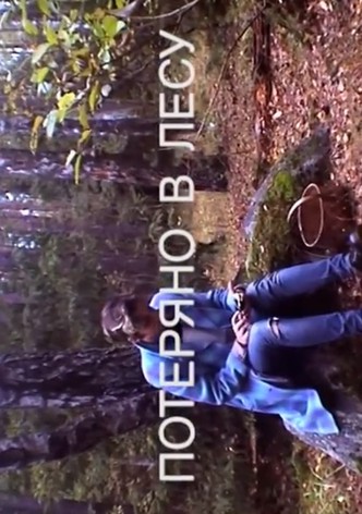 Lost in the Woods