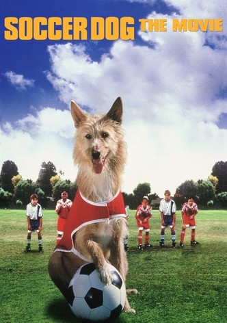 Soccer Dog : The Movie