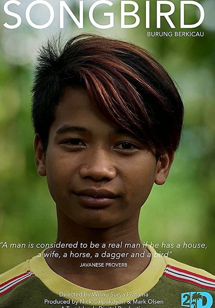 Songbirds: Burung Berkicau