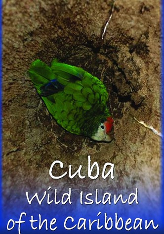 Cuba: Isla Salvaje del Caribe