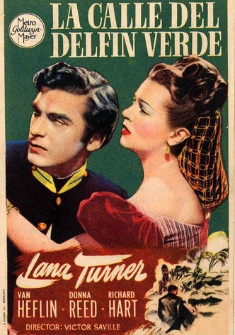 La calle del Delfín Verde