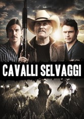 Cavalli selvaggi