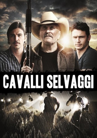 Cavalli selvaggi