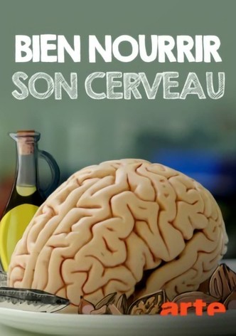 Bien nourrir son cerveau