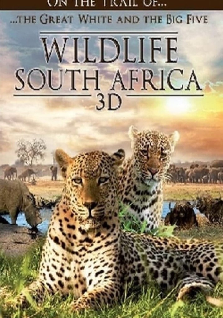 Wildlife South Africa 3D
