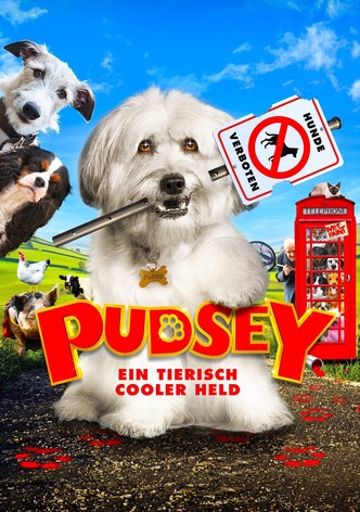 Pudsey - Ein tierisch cooler Held