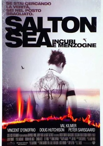Salton Sea - Incubi e menzogne