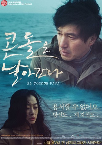 콘돌은 날아간다