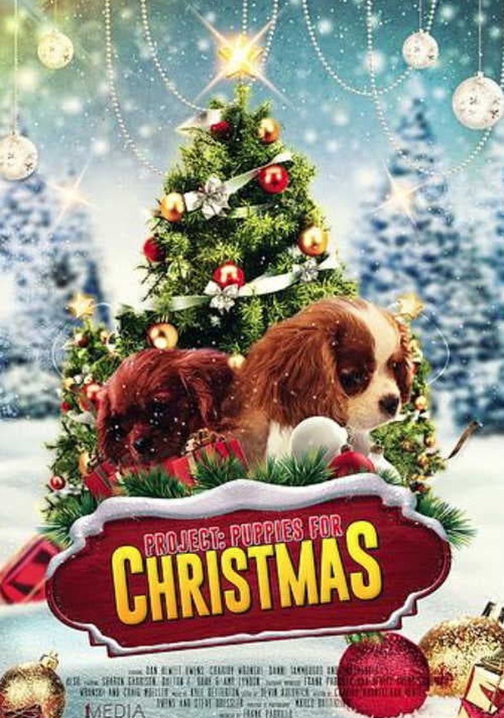 Project: Puppies for Christmas