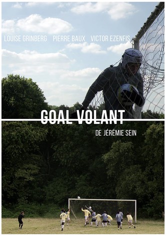 Goal Volant