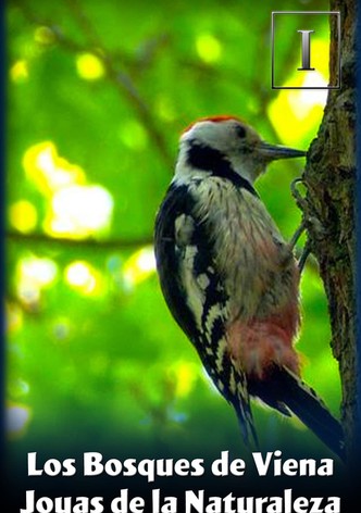 Los Bosques de Viena - Joyas de la Naturaleza