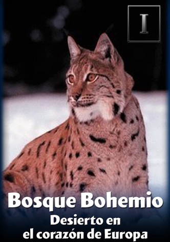 Bosque bohemio - Desierto en el Corazón de Europa