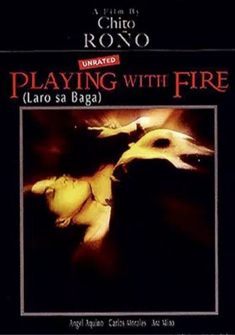 Playing with Fire poster