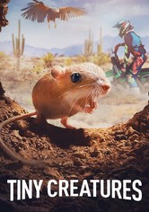 Unsere winzigen Nachbarn