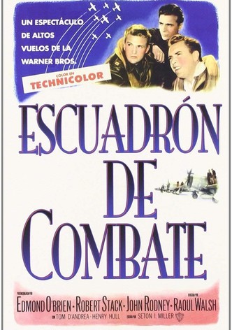 Escuadrón de combate
