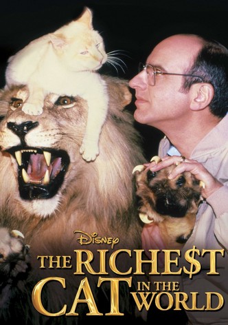 Самый богатый кот в мире