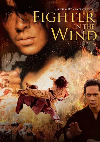 Fighter in the Wind poster