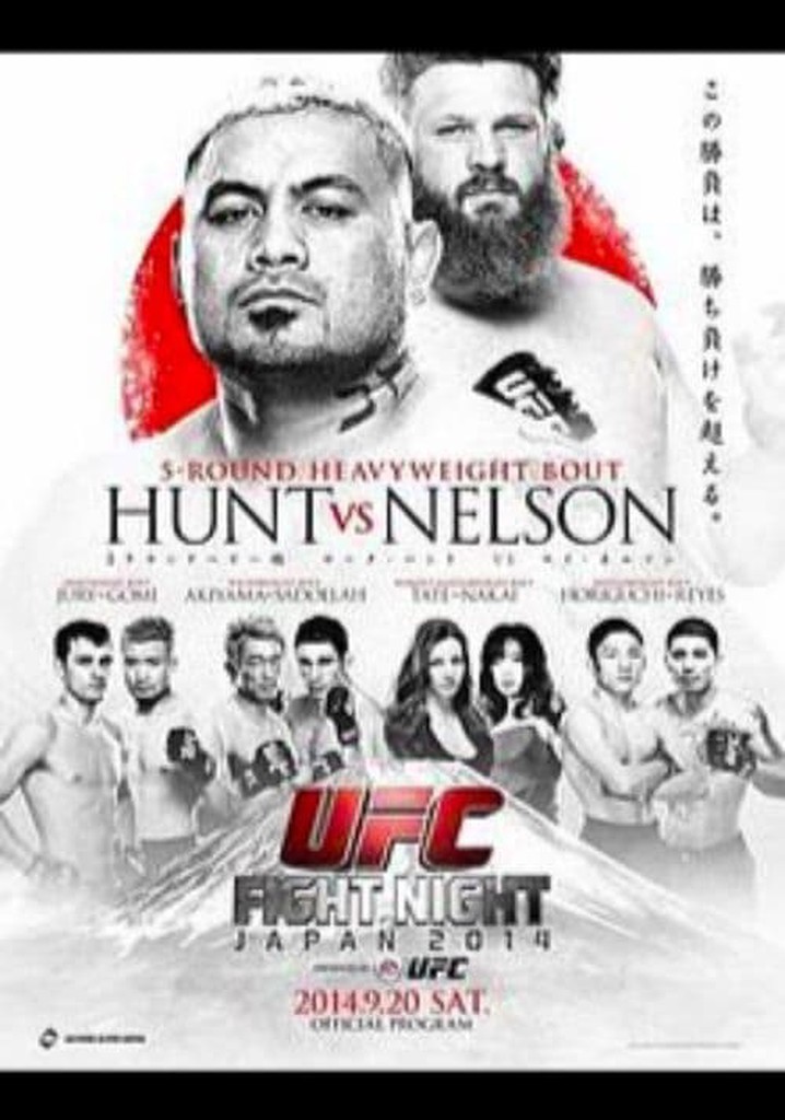 UFC Fight Night 52: Hunt vs. Nelson