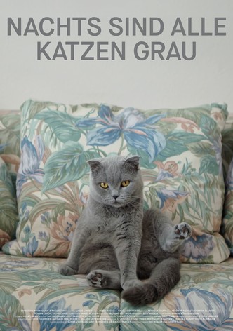 Nachts sind alle Katzen grau