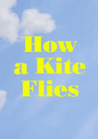 How a Kite Flies