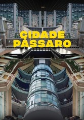 Cidade Pássaro