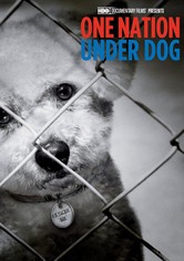 One Nation Under Dog